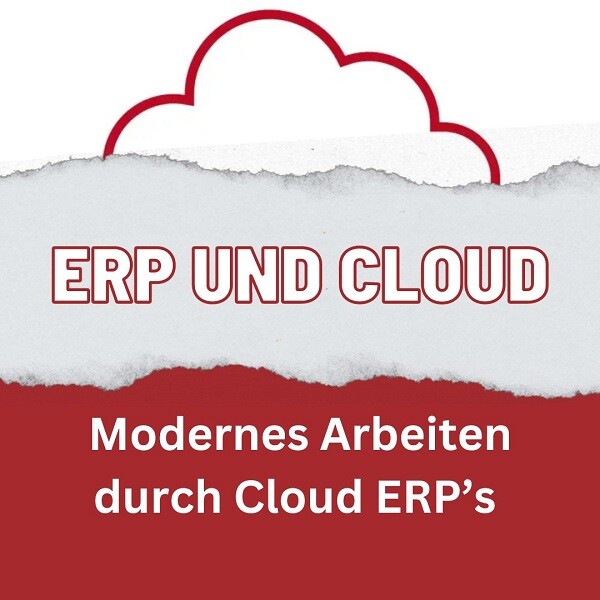 ERP cloud infor LN
