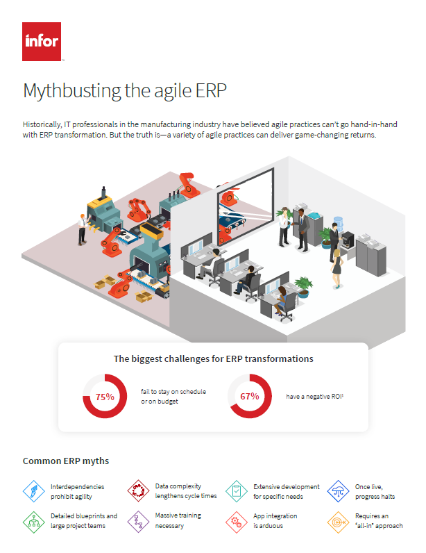 Image Infor agile ERP